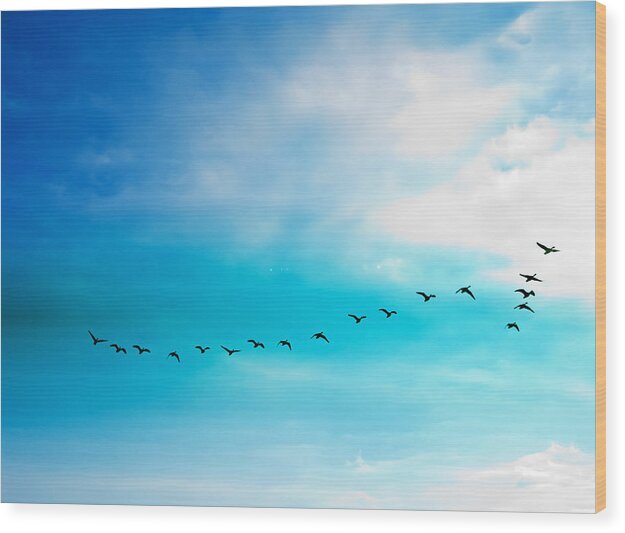 #artprintsforsale, Art prints , All products 