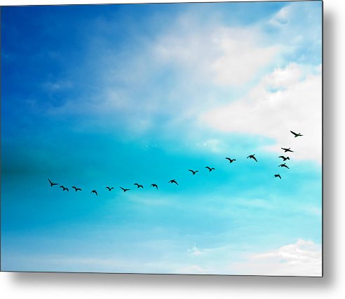 Flying Away - Metal Print