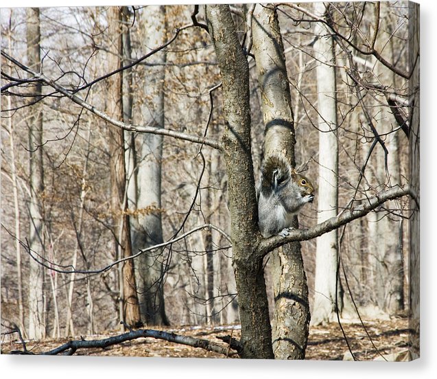 Good Day For Eating - Canvas Print