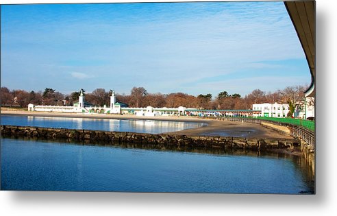 Life In Rye - Metal Print