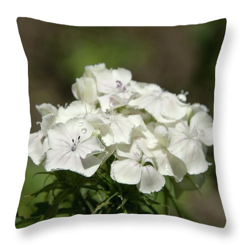 Pure Still Life - Throw Pillow