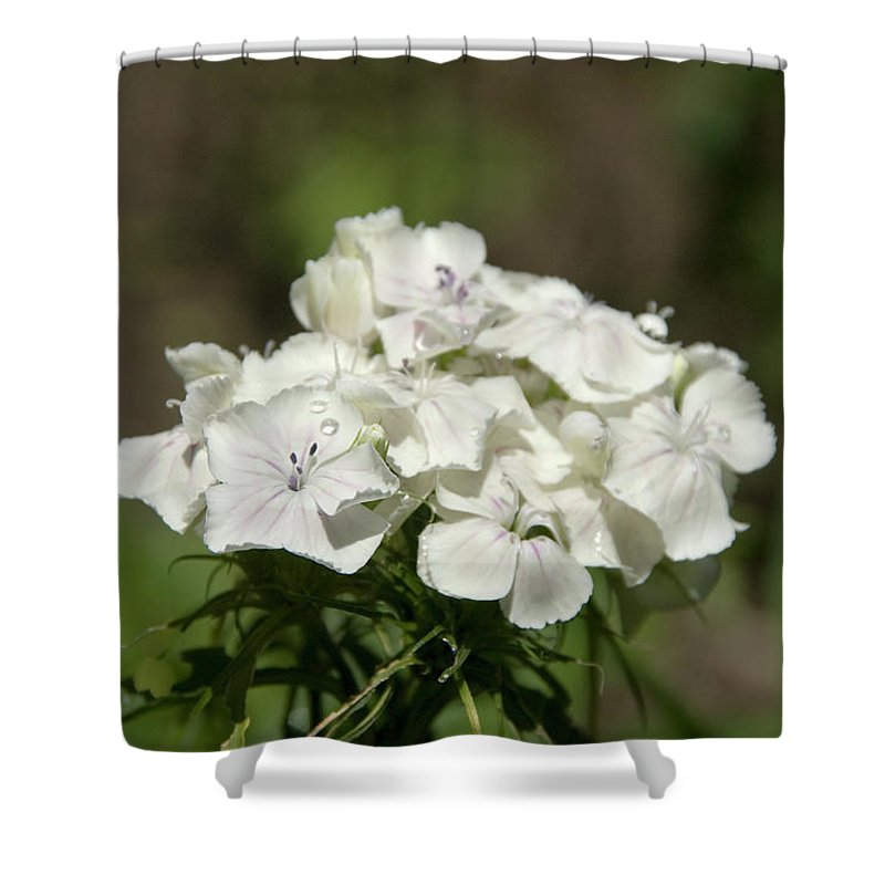 Pure Still Life - Shower Curtain